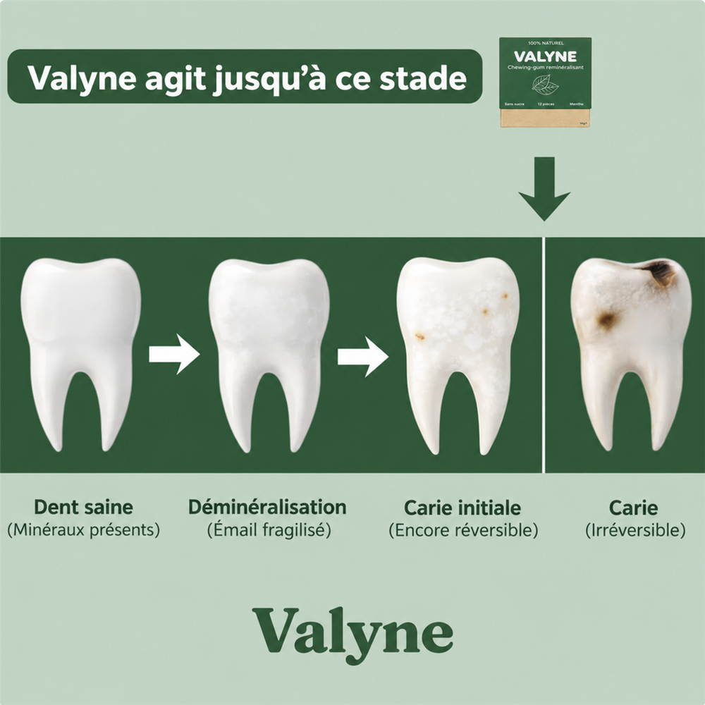 Pourquoi reminéraliser ?